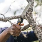 Запасное полотно для складной пилы Fiskars Plus™ SW68 (1067554) - фото 4