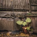 Грабли для листьев средние Fiskars Solid M (1063089) - фото 5