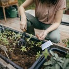 Культиватор Fiskars Solid 1072102 - фото 6