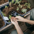 Культиватор Fiskars Solid 1072102 - фото 7