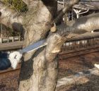 Пила Silky Genki Temagari 550-50 - фото 4