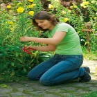 Секатор Wolf-Garten Comfort Plus RR-2500 - фото 3