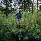 Мотика-розпушувач від бур'янів S-ручка Fiskars Ergonomic (1077110) - фото 3