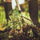 Культиватор Fiskars Xact 1027040 - фото 3