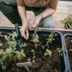 Совок для рассады Fiskars Solid 1072101 - фото 4