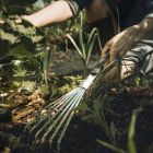 Ручные грабли Fiskars Xact 1027044 - фото 3