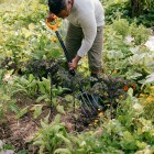 Вилы садовые Fiskars Solid 1070673 - фото 2