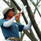 Пила садовая раскладная Silky Gomboy Curve 270-8 (717-27) - фото 3