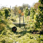 Вилы садовые Fiskars Solid 1070673 - фото 6