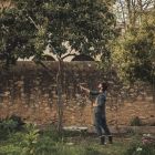 Телескопический универсальный сучкорез PowerGear UPX86 1023624 - фото 8