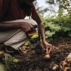 Сеялка Fiskars Solid (1057079) - фото 5