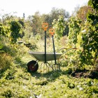 Вилы для компоста Solid Fiskars 1070674 - фото 6