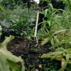 Мотика-розпушувач Fiskars Solid з дерев'яною ручкою (1077119) - фото 3