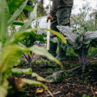 Сапа Fiskars Solid з дерев'яною ручкою (1011613) - фото 2