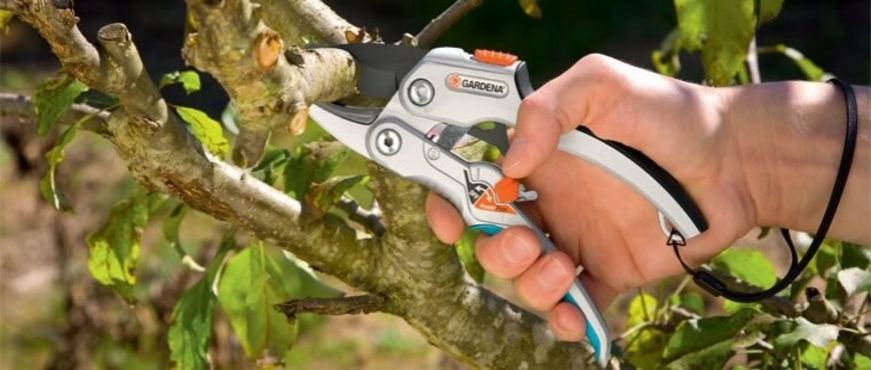 Лучшая цена на немецкий секатор